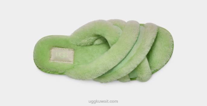 جرجير ببغاء أخضر نحيف UGG 08HB43