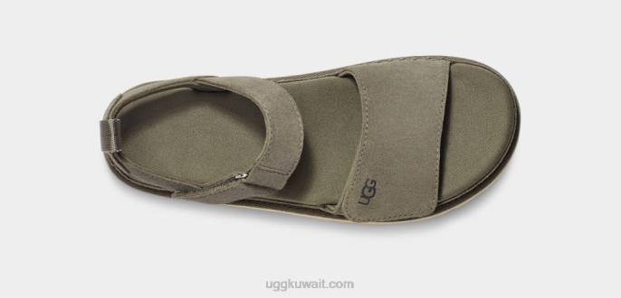 نجمة ذهبيه طحلب أخضر نحيف UGG 08HB576