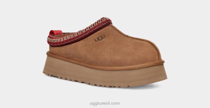 تاز كستناء نحيف UGG 08HB579