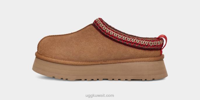 تاز كستناء نحيف UGG 08HB579