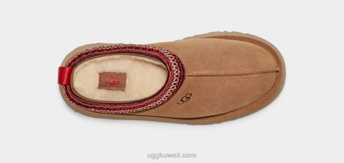 تاز كستناء نحيف UGG 08HB579