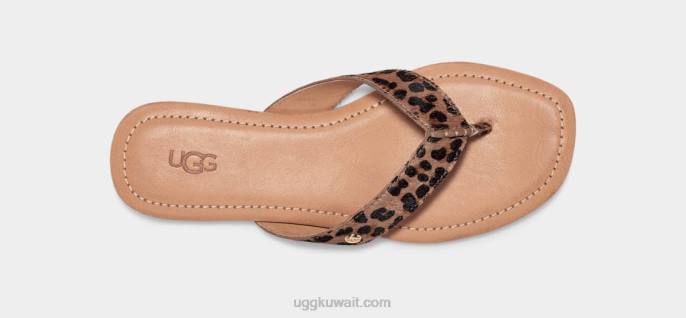 نمر تولومن تان نحيف UGG 08HB74