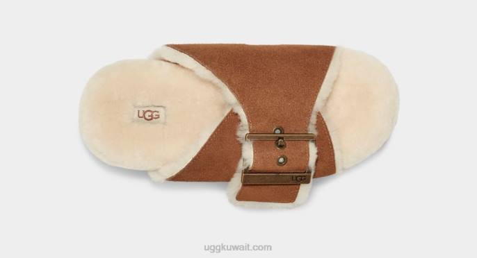 إبزيم منزلق سويدي الكستناء نحيف UGG 08HB788