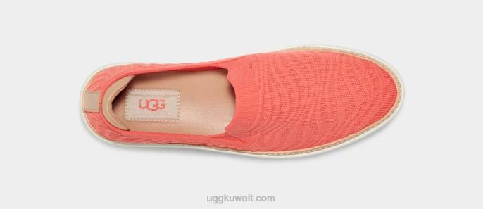 سامي مائج الحية المرجانية متماسكة نحيف UGG 08HB809
