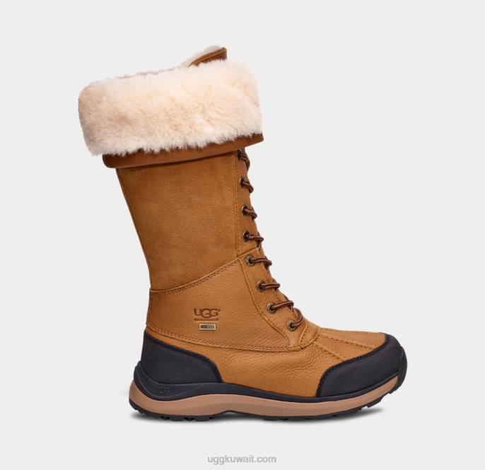 حذاء طويل adirondack iii كستناء نحيف UGG 08HB597