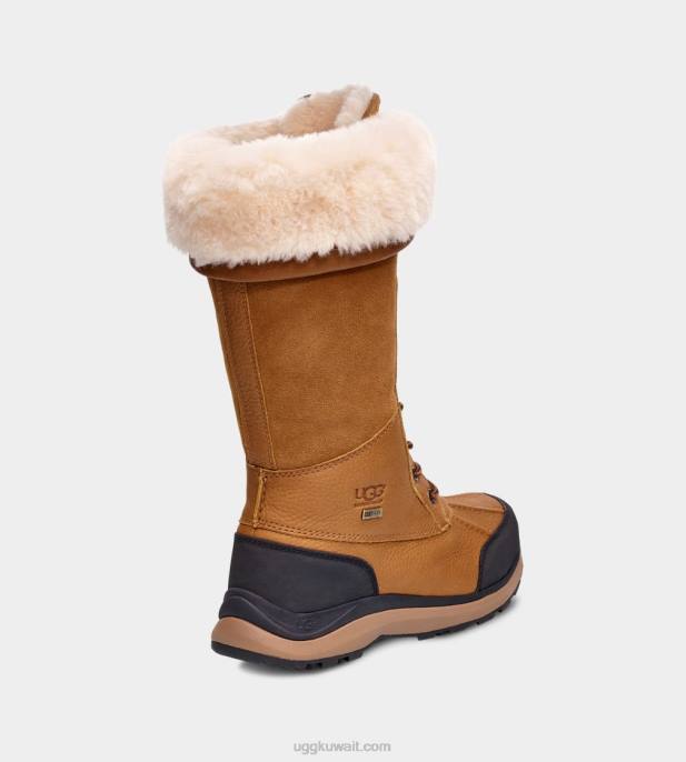 حذاء طويل adirondack iii كستناء نحيف UGG 08HB597