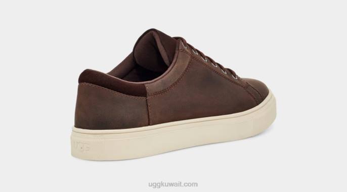 baysider طقس منخفض جلد أشيب رجال UGG 08HB2293