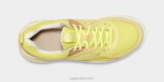 ca805 × شبكة منخفضة حبوب اللقاح / أبيض رجال UGG 08HB1646