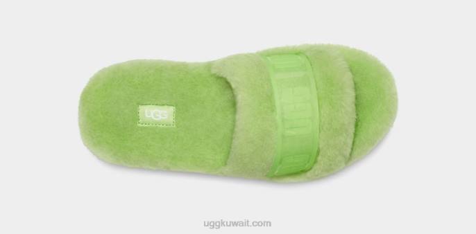 fluffita واضح ببغاء أخضر نحيف UGG 08HB733